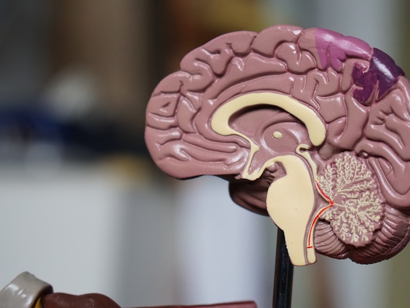 INFJ 情绪界限的神经科学:三层防护打造稳固能量